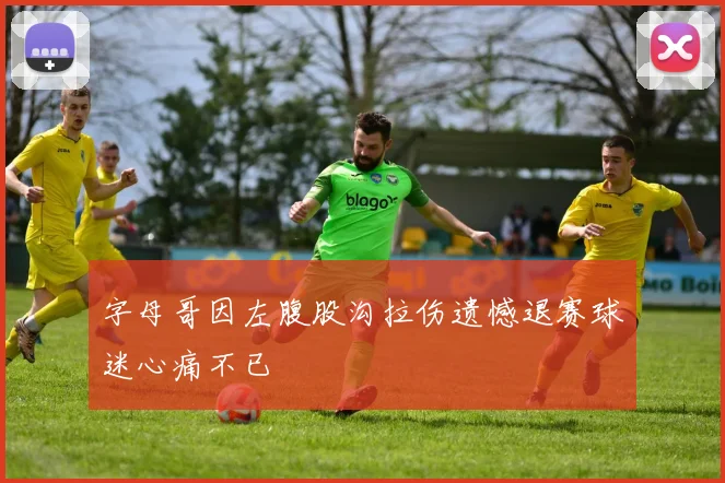 字母哥因左腹股沟拉伤遗憾退赛球迷心痛不已